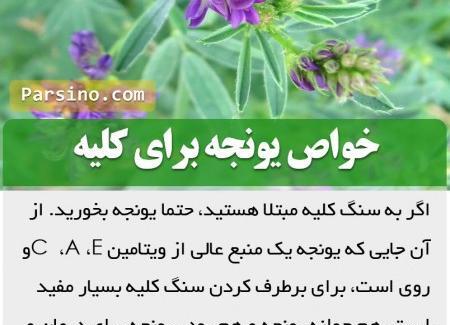 عکس قرص یونجه