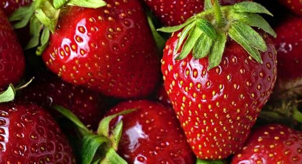 عکس غذا فرنگی