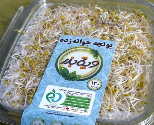 عکس از جوانه یونجه