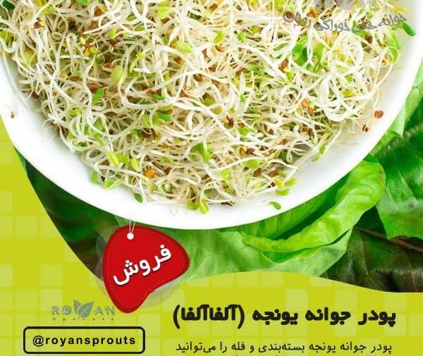 عکس از جوانه یونجه