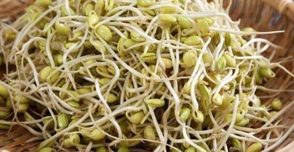 عکس از جوانه یونجه