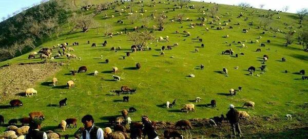 عکس های طبیعی افغانستان