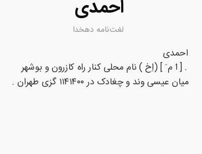 عکس فامیل احمدی