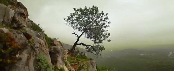عکس تصاویر زیبای طبیعت همراه با موسیقی