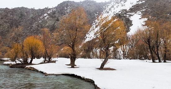 عکس تصاویر زیبای طبیعت زمستانی