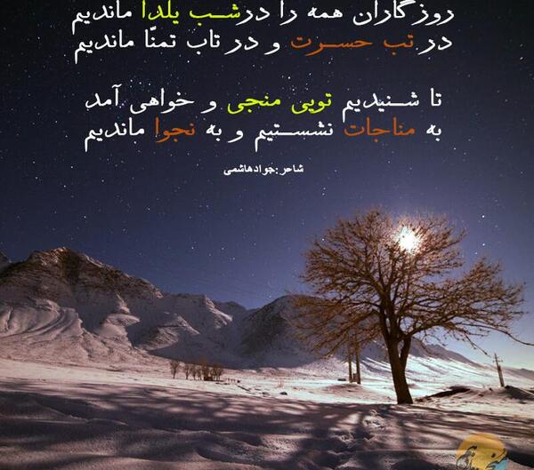 عکس یلدا هاشمی