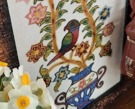 عکس طوطی پته