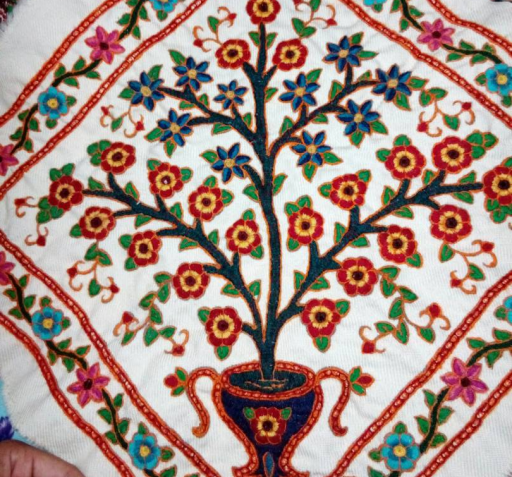 عکس طوطی پته