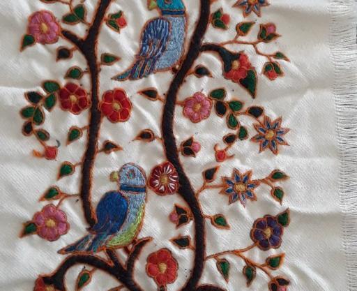 عکس طوطی پته