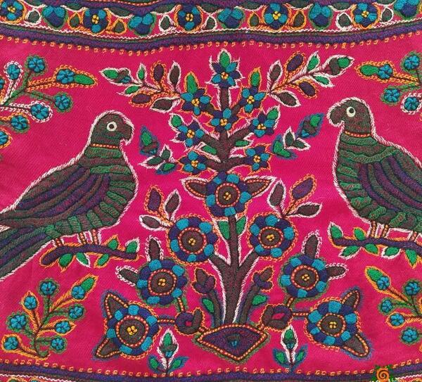 عکس طوطی پته