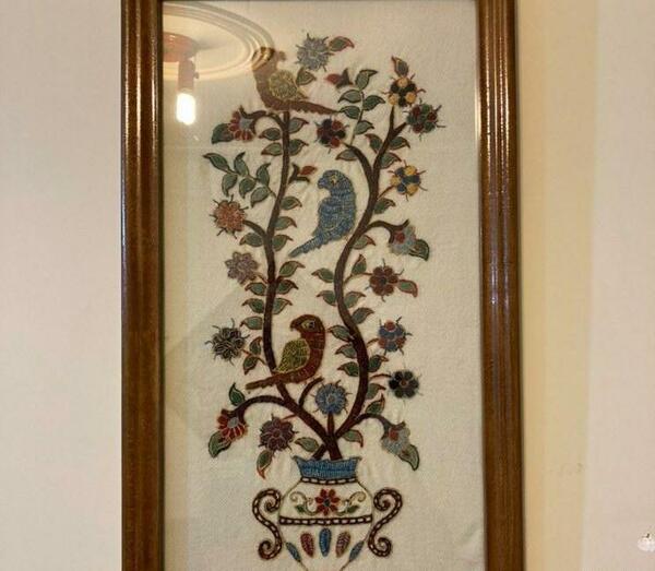 عکس طوطی پته