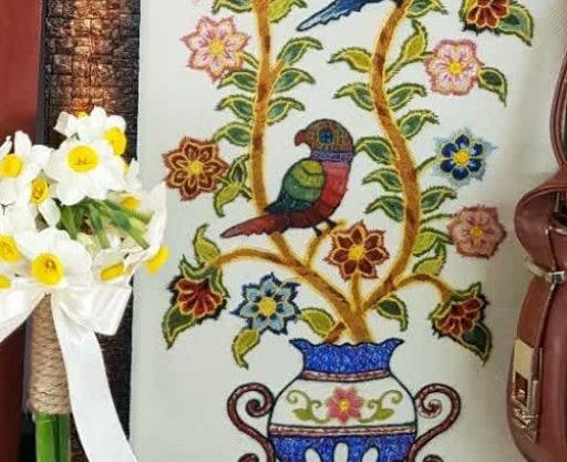 عکس طوطی پته