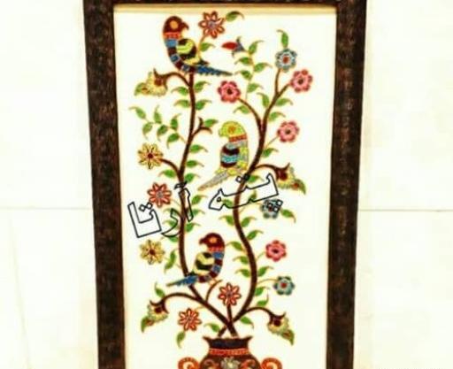 عکس طوطی پته