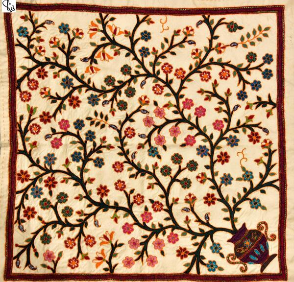 عکس طوطی پته