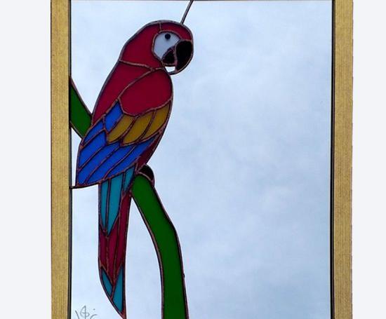 عکس طوطی پته