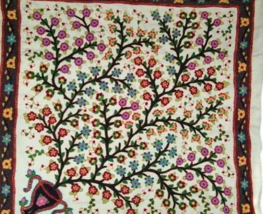 عکس طوطی پته