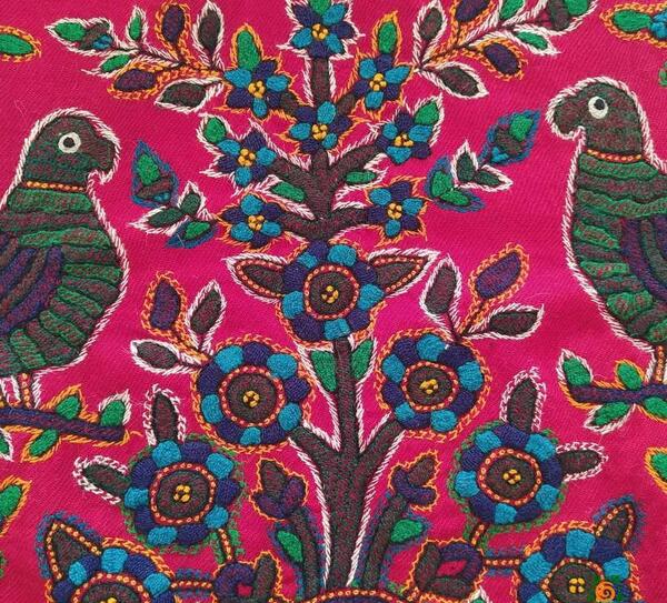 عکس طوطی پته