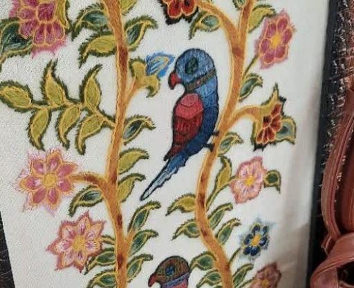 عکس طوطی پته