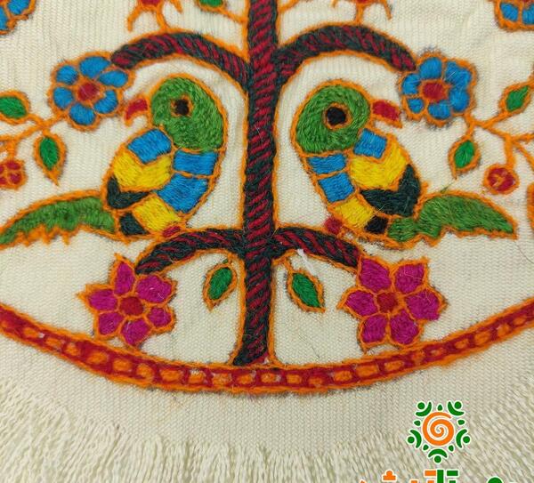عکس طوطی پته
