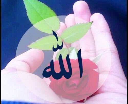 عکس الله در گل