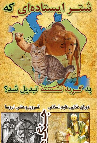 عکس گربه غم