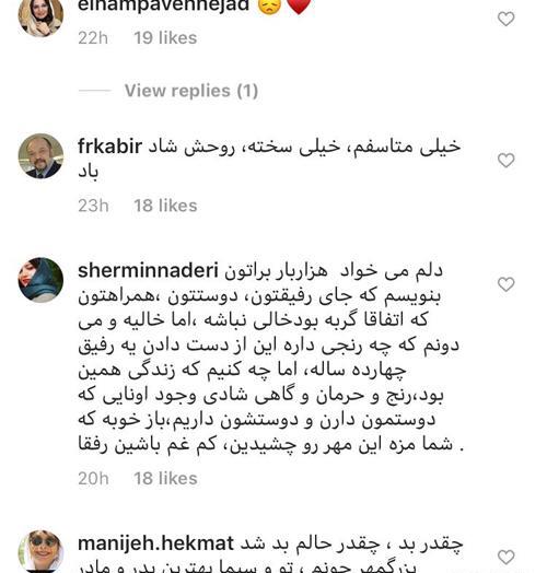 عکس گربه غم