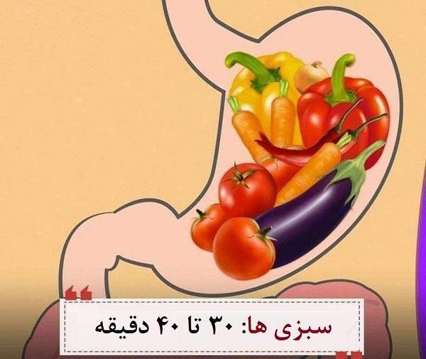 عکس سفر غذا در بدن انسان