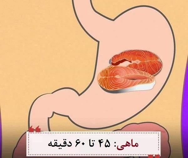 عکس سفر غذا در بدن انسان