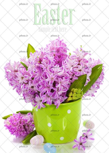 عکس ساده رنگی گلدار