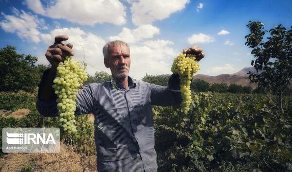 عکس روستای جوزان ملایر