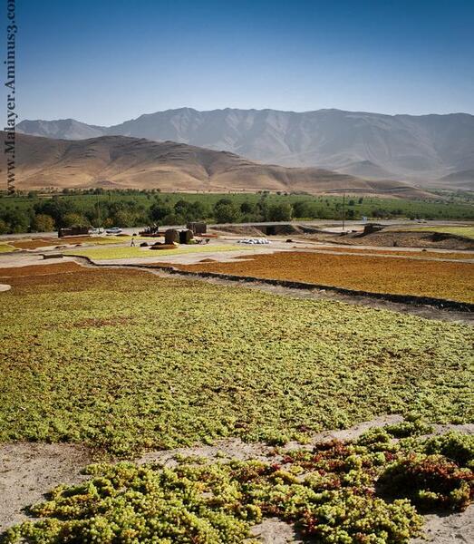 عکس روستای جوزان ملایر