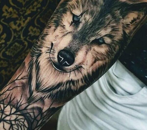 عکس تاتو گرگ روی دست
