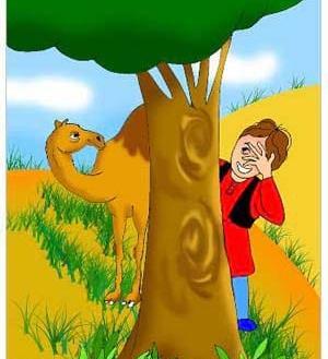 عکس حکایت شتر دیدی ندیدی