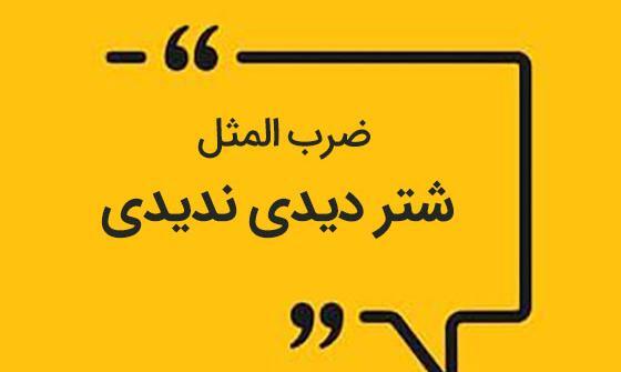 عکس حکایت شتر دیدی ندیدی