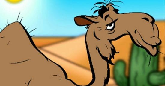 عکس حکایت شتر دیدی ندیدی