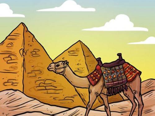 عکس حکایت شتر دیدی ندیدی