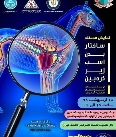 عکس تصاویر اناتومی بدن اسب