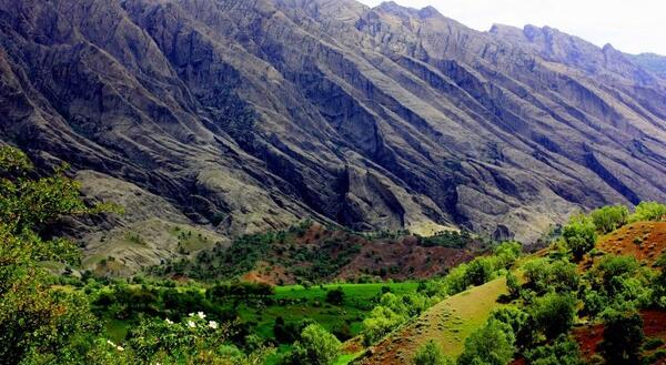 عکسهای مهراب کوه دلفان