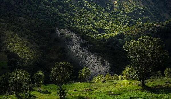 عکسهای مهراب کوه دلفان
