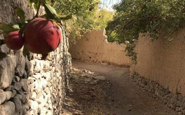 عکس جاهای دیدنی صفاشهر