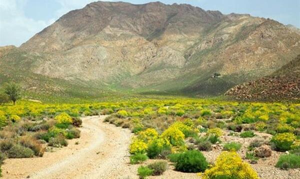 عکس جاهای دیدنی صفاشهر