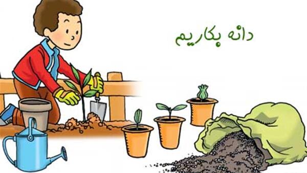 عکس مراحل کاشت یک گیاه