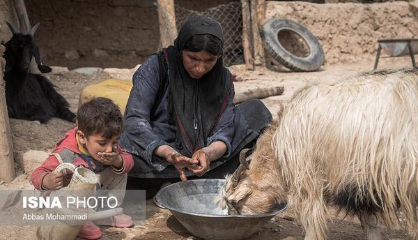 عکس روستا حیوانات