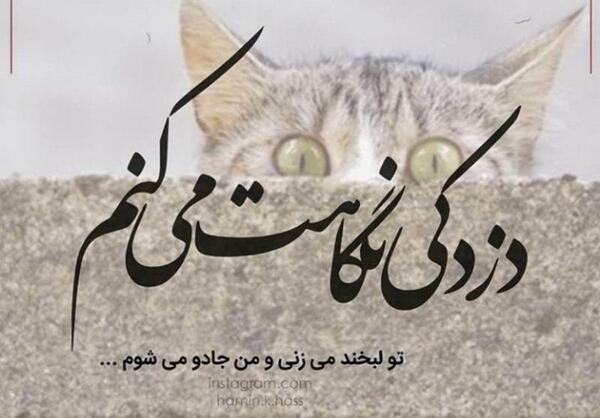 عکس دوست جادویی