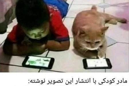 عکس های خنده دار گربه با متن