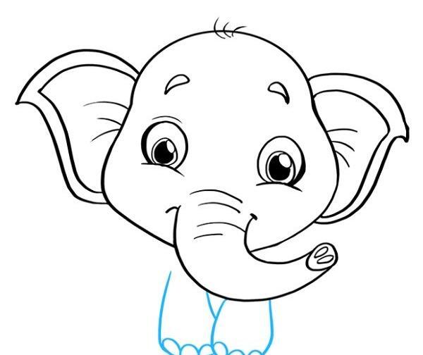 عکس فیل برای نقاشی