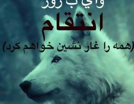 عکس گرگ با متن