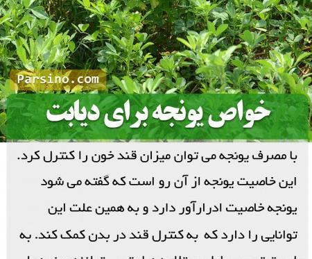 عکس یونجه خوراکی