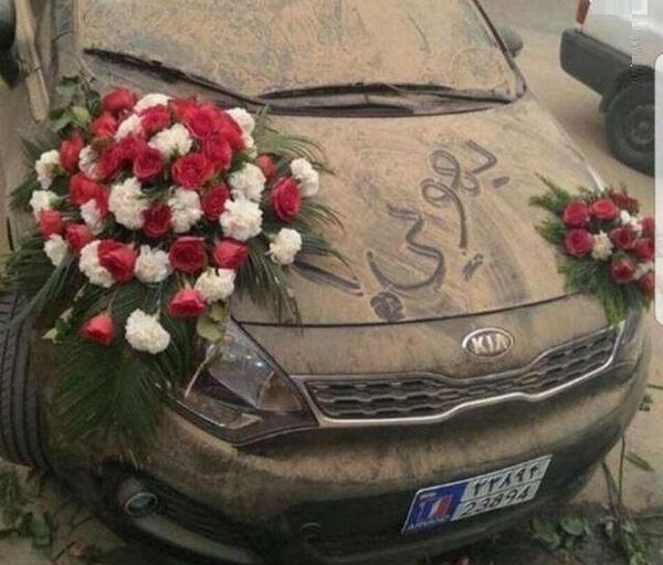عکس گل رز روی داشبورد ماشین
