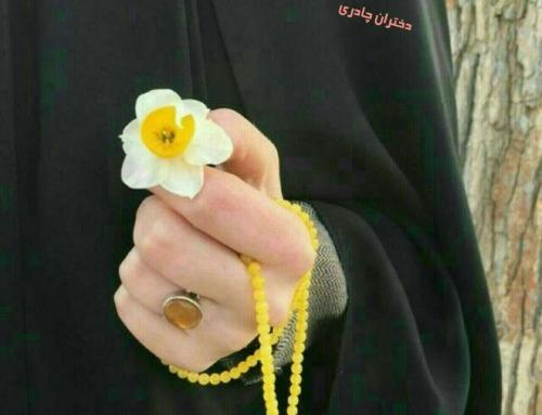 عکس گل نرگس با دختر چادری